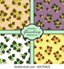 Colored gooseberries seamless pattern set. Vector gooseberry background. Seamless patterns with colored hand draw graphic gooseberries. Vector berries templates.