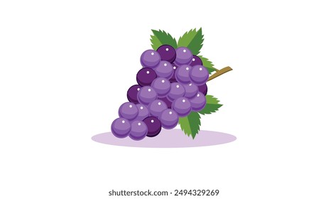 Colored grapes icon on white background