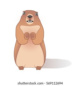 Colored groundhog with shadow isolated on white. Vector illustration groundhog.