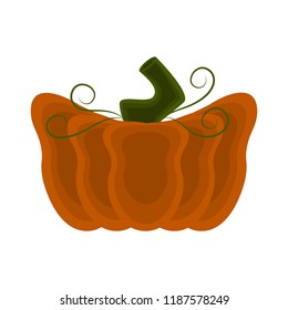 Colored halloween pumpkin icon