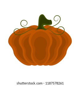 Colored halloween pumpkin icon