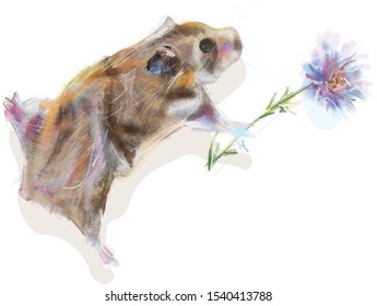
A colored hamster with a cornflower in his hand looking to the right