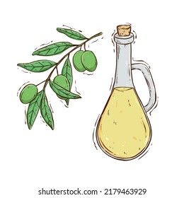 colored hand draw glass bottle jug of olive oil and olives with leaves. Illustration in retro sketch style