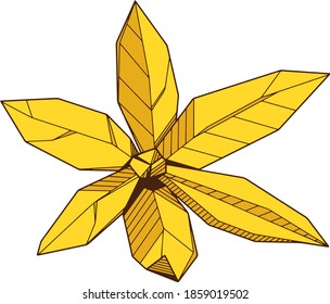 Colored hand drawind geometrical blossoming flower, Ylang-Ilang line art