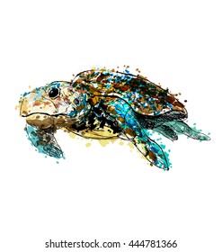 Colored hand drawing caretta. Vector illustration