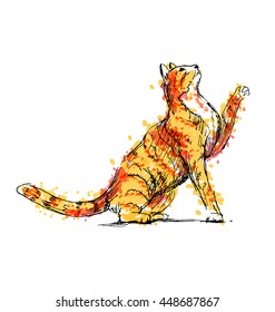 Colored Hand drawing cat. Vector illustration