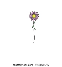 a colored hand drawing daisy 
