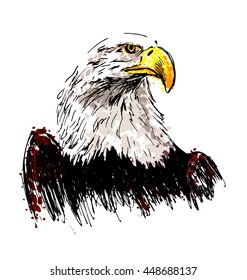 Colored hand drawing eagle. Vector illustration
