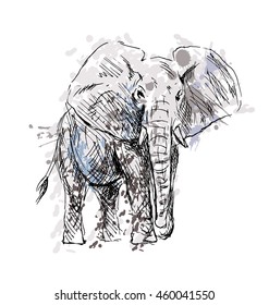 Colored Hand drawing of an elephant