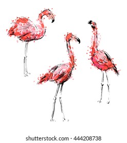 Colored hand drawing flamingos. Vector illustration
