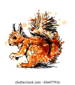 Colored Hand drawing squirrel. Vector illustration