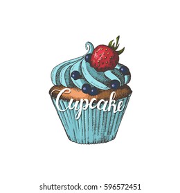Colored hand drawn cupcake with blueberries and strawberries. Sketch. Vector. Lettering.