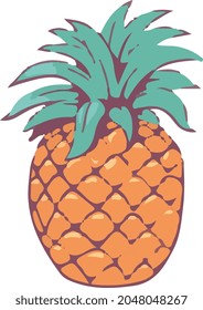 colored hand drawn detailed pineapple vector