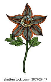 Colored Hand drawn Flower sketch. Vector Isolated on white
