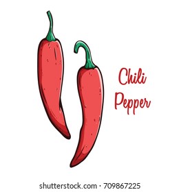 Colored Hand Drawn Of Fresh Chili Pepper With Text Or Name On White Background