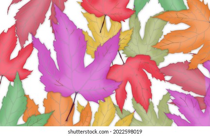 Colored Hand drawn leaves in different colors with white background vector illustration