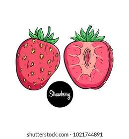 colored hand drawn strawberry fruit with text on white background