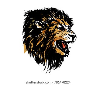 Colored hand ink sketch lion head. Vector illustration