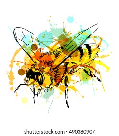 Colored hand sketch bee. Vector illustration