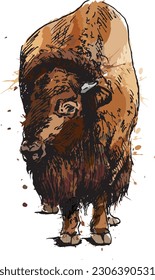 Colored hand sketch bison. Vector illustration.