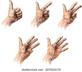 Colored hand sketch of a hand counting from one to five. Vector illustration