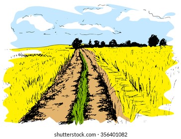 Colored hand sketch dirt road
