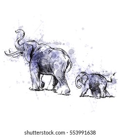 Colored hand sketch of an elephant with cub. Vector illustration