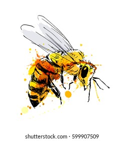 Colored hand sketch flying bee. Vector illustration