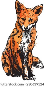 Colored hand sketch of a fox. Vector illustration.
