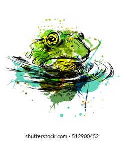 Colored hand sketch of the head of the frog. Vector illustration