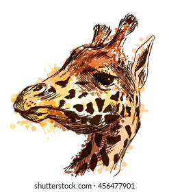 Colored hand sketch head giraffe. Vector illustration