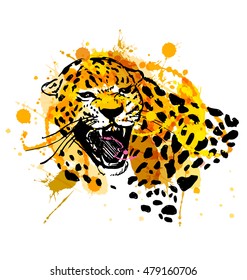 Colored hand sketch head roaring jaguar. Vector illustration