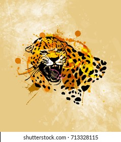 Colored hand sketch head roaring jaguar on a grunge background. Vector illustration