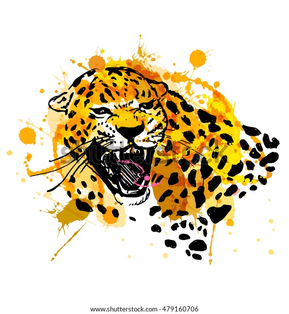 Colored Hand Sketch Head Roaring Jaguar Stock Vector Royalty Free