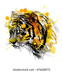 Colored hand sketch of the head of the tiger. Vector illustration