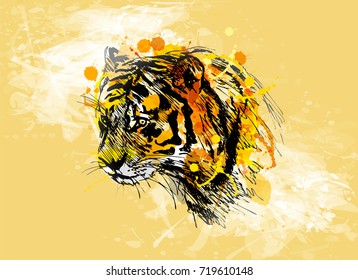 Colored hand sketch of the head of the tiger on a grunge background. Vector illustration