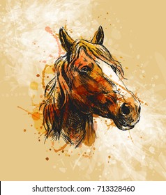 Colored hand sketch horse head on a grunge background. Vector illustration