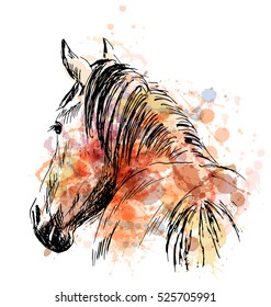 Colored hand sketch horses behind. Vector illustration