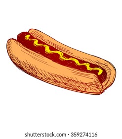 Colored Hand Sketch Hot Dog