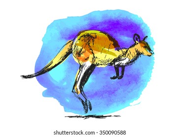 Colored hand sketch leaping kangaroo