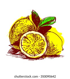 Colored hand sketch lemons