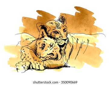 Colored hand sketch lioness with cub