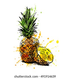 Colored hand sketch pineapple. Vector illustration