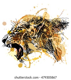 Colored Hand Sketch Roaring Lioness Head. Vector Illustration