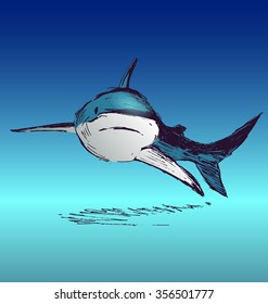 Colored hand sketch shark