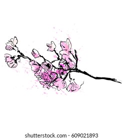 Colored hand sketch sprigs of blooming cherry trees. Vector illustration