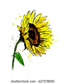 Colored Hand Sketch Sunflower. Vector Illustration