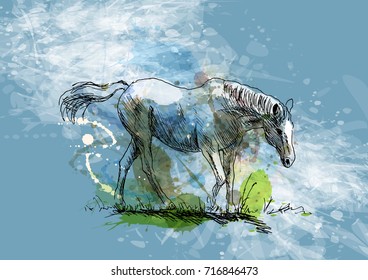 Colored hand sketch of a white horse on a grunge background. Vector illustration
