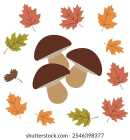 A Colored hand-drawn vector illustration of three fresh mushrooms with fall leaves isolated on a white background