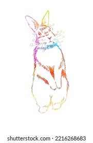The colored hare is standing. Vector illustration